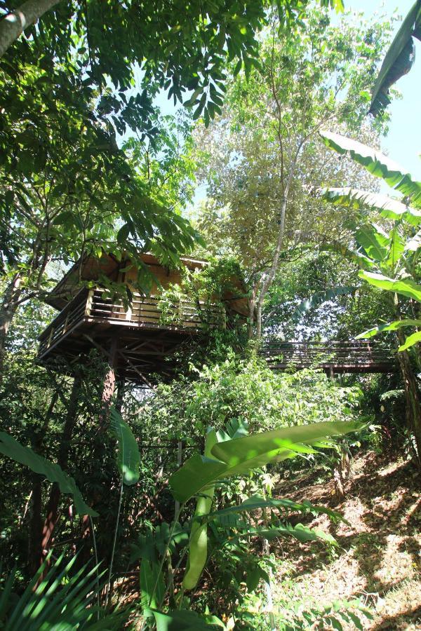 Вілла Treehouse Pilon Pavones Павонес Екстер'єр фото